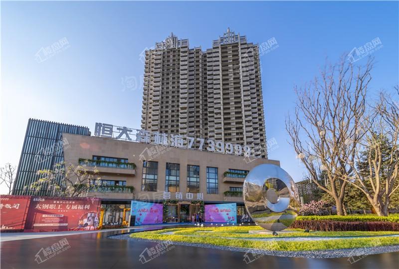 恒大森林海实景图