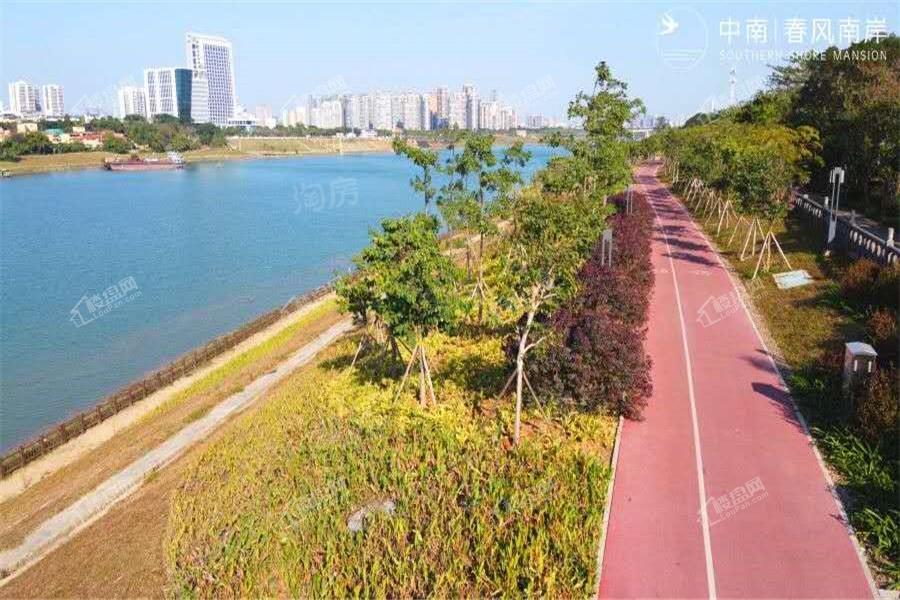 中南春风南岸实景图