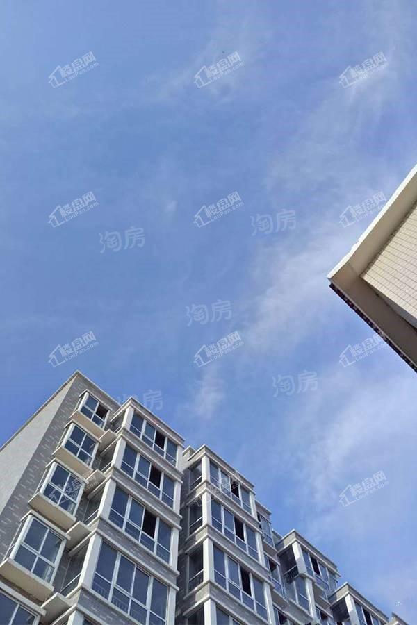 实景图