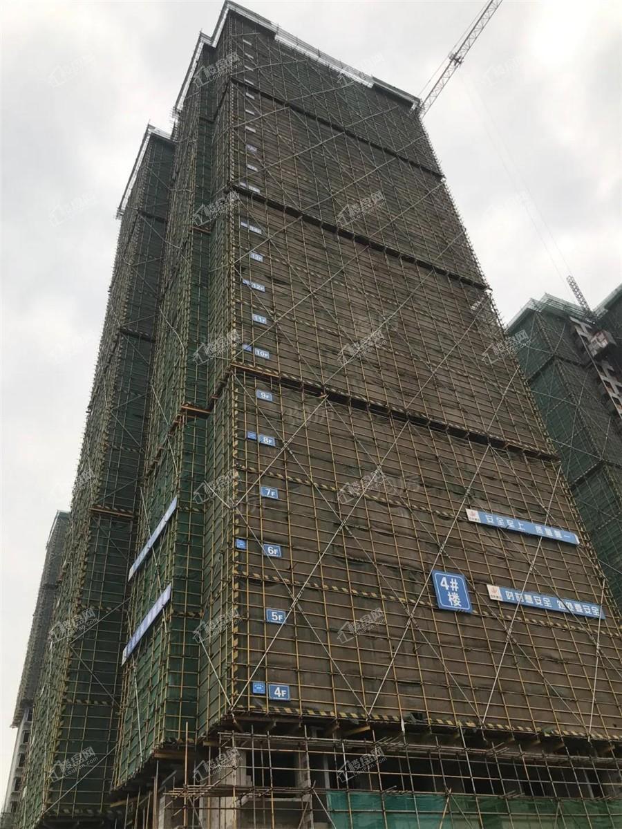 金科博翠山实景图