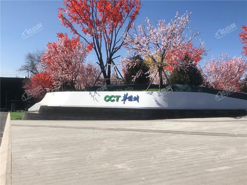 华侨城天鹅堡实景图