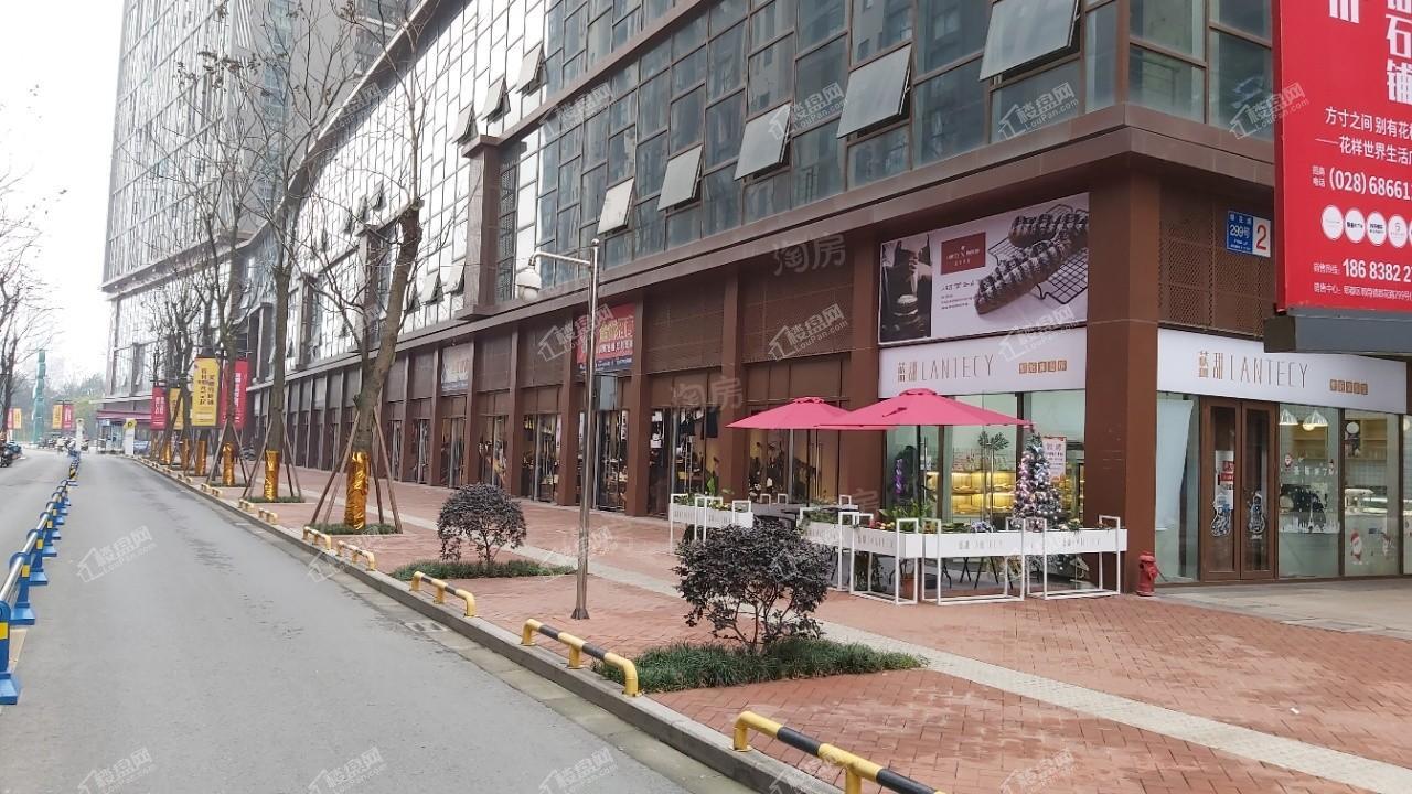 花样年龙年国际中心实景图