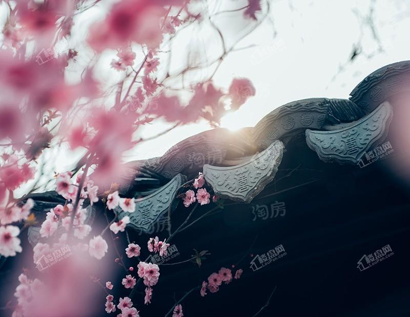 融创江南桃源实景图