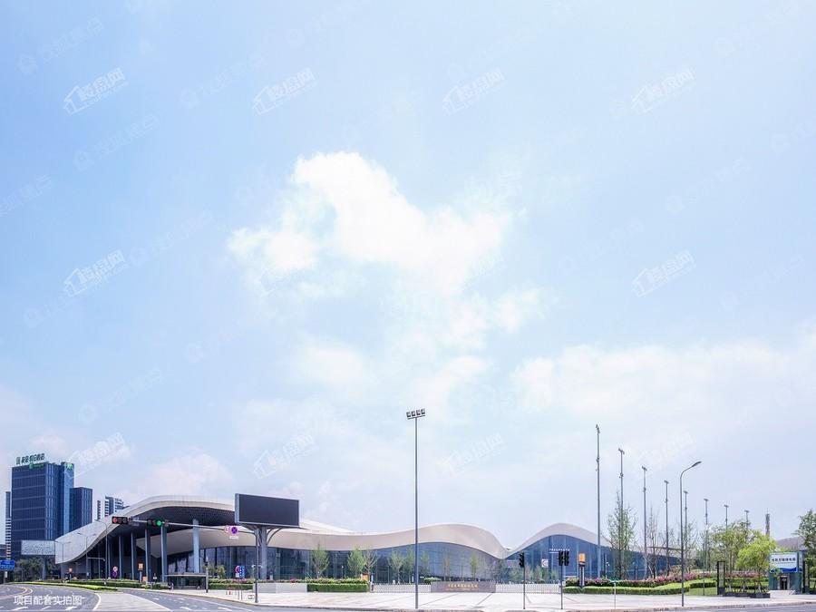 实景图