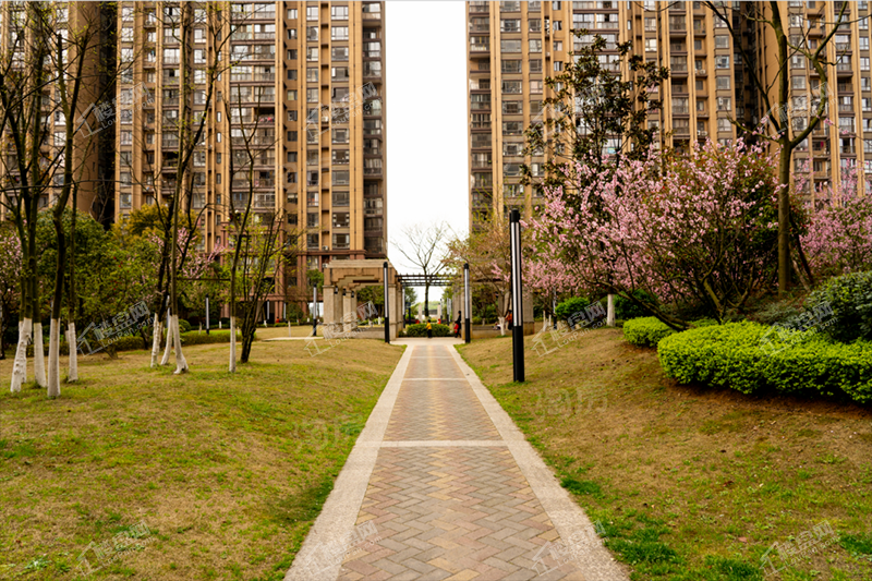 观府壹号实景图