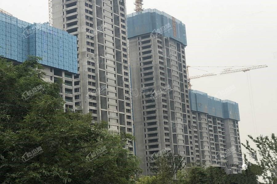绿城九龙仓桂语朝阳实景图