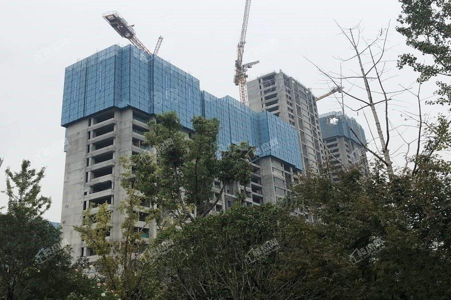 绿城九龙仓桂语朝阳实景图
