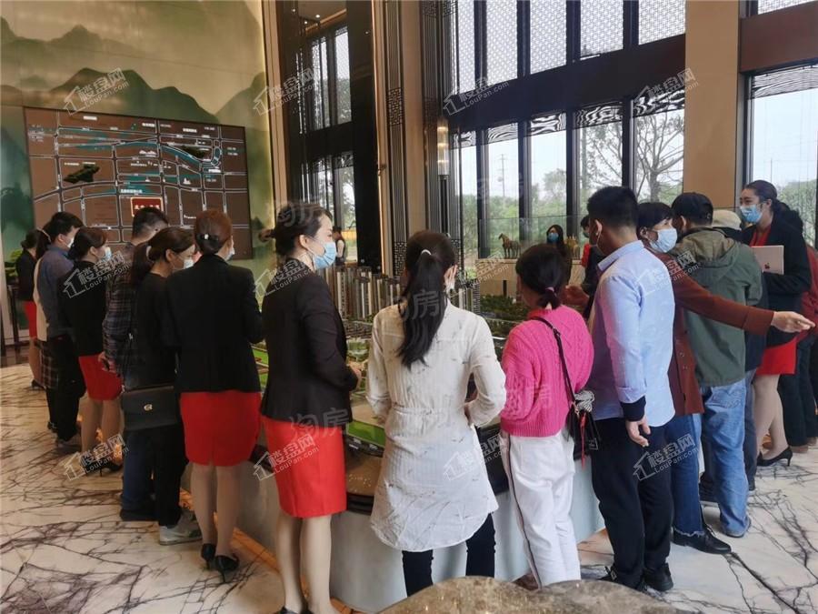 龙光天瀛实景图