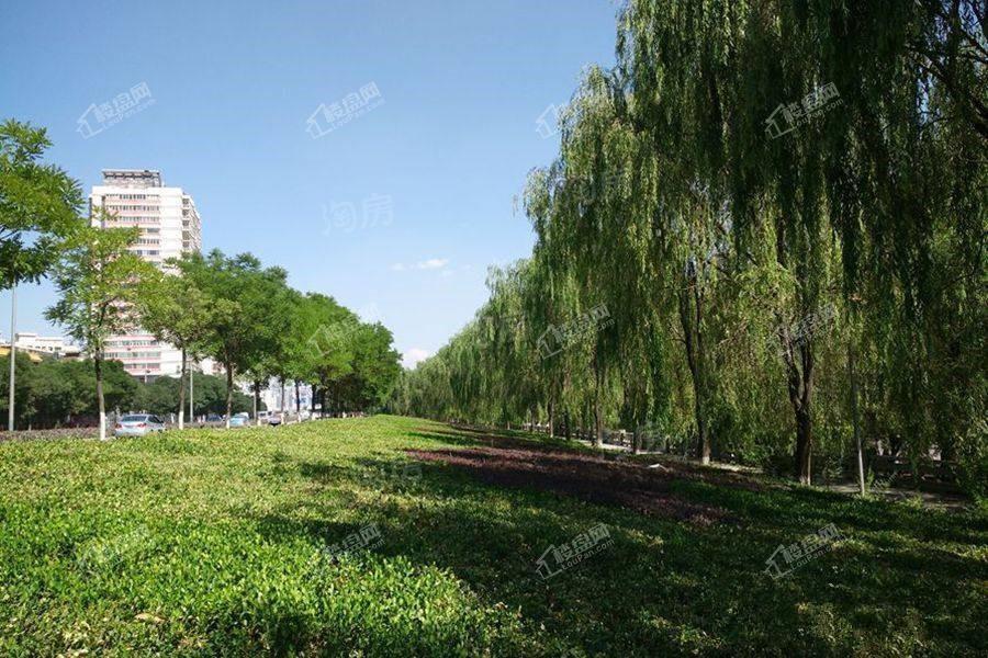 黄河春城配套图