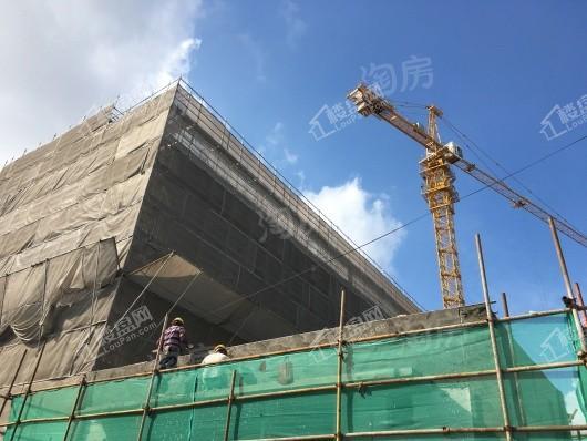徐汇梧桐公馆实景图