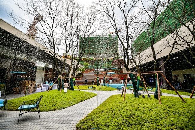 上观实景图