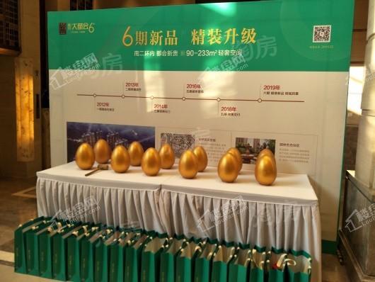 盛邦大都会6期实景图