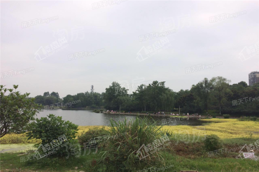 蓝光长岛国际社区源墅配套图