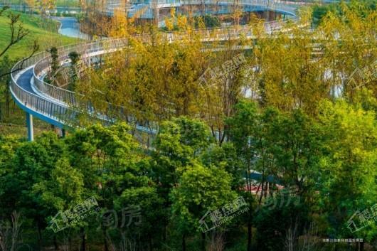 万科·新川荟配套图
