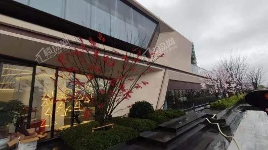 大华锦绣四季实景图