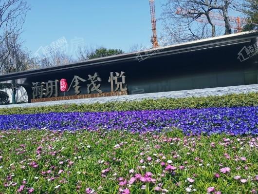 海玥虹桥金茂悦实景图