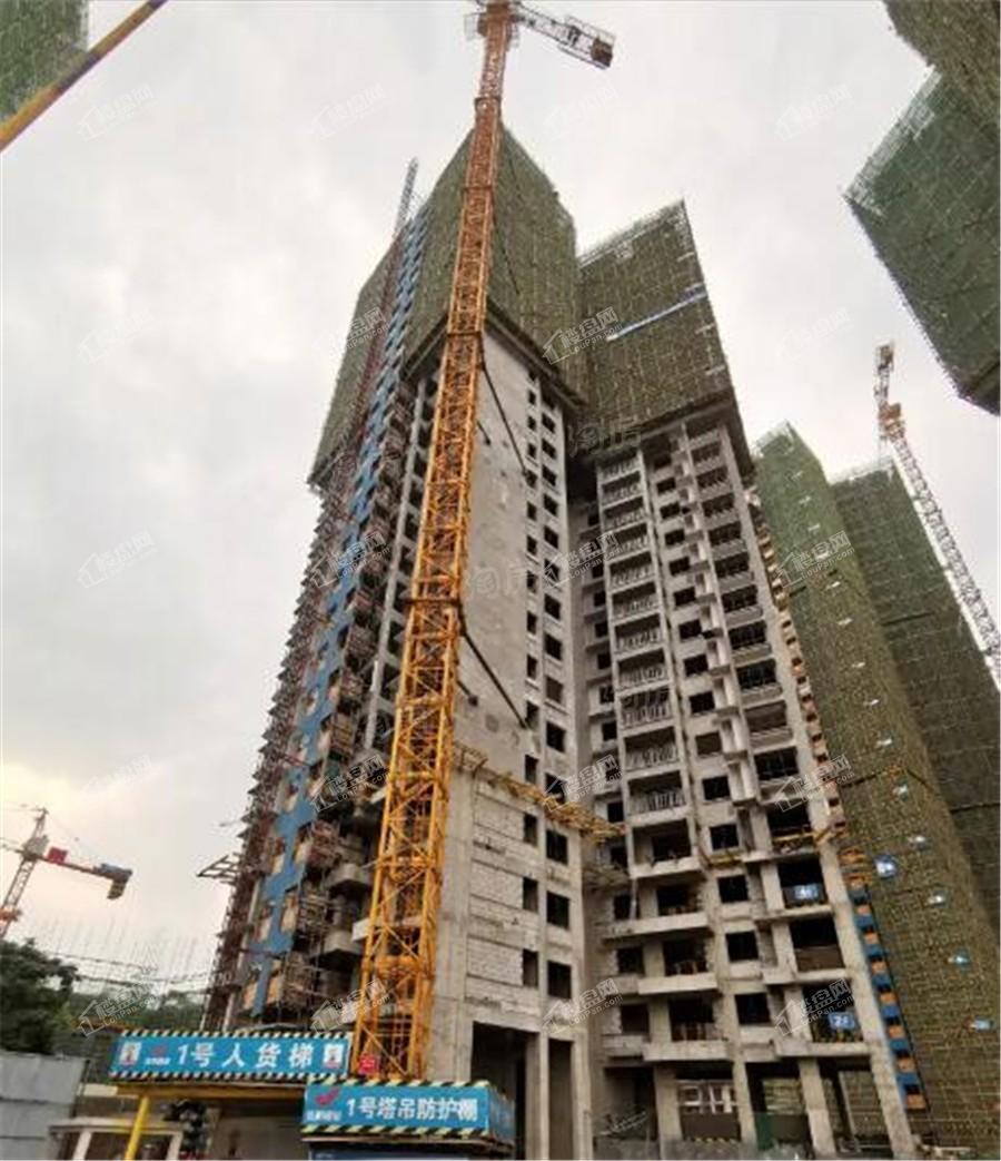 新城·悦隽风华实景图