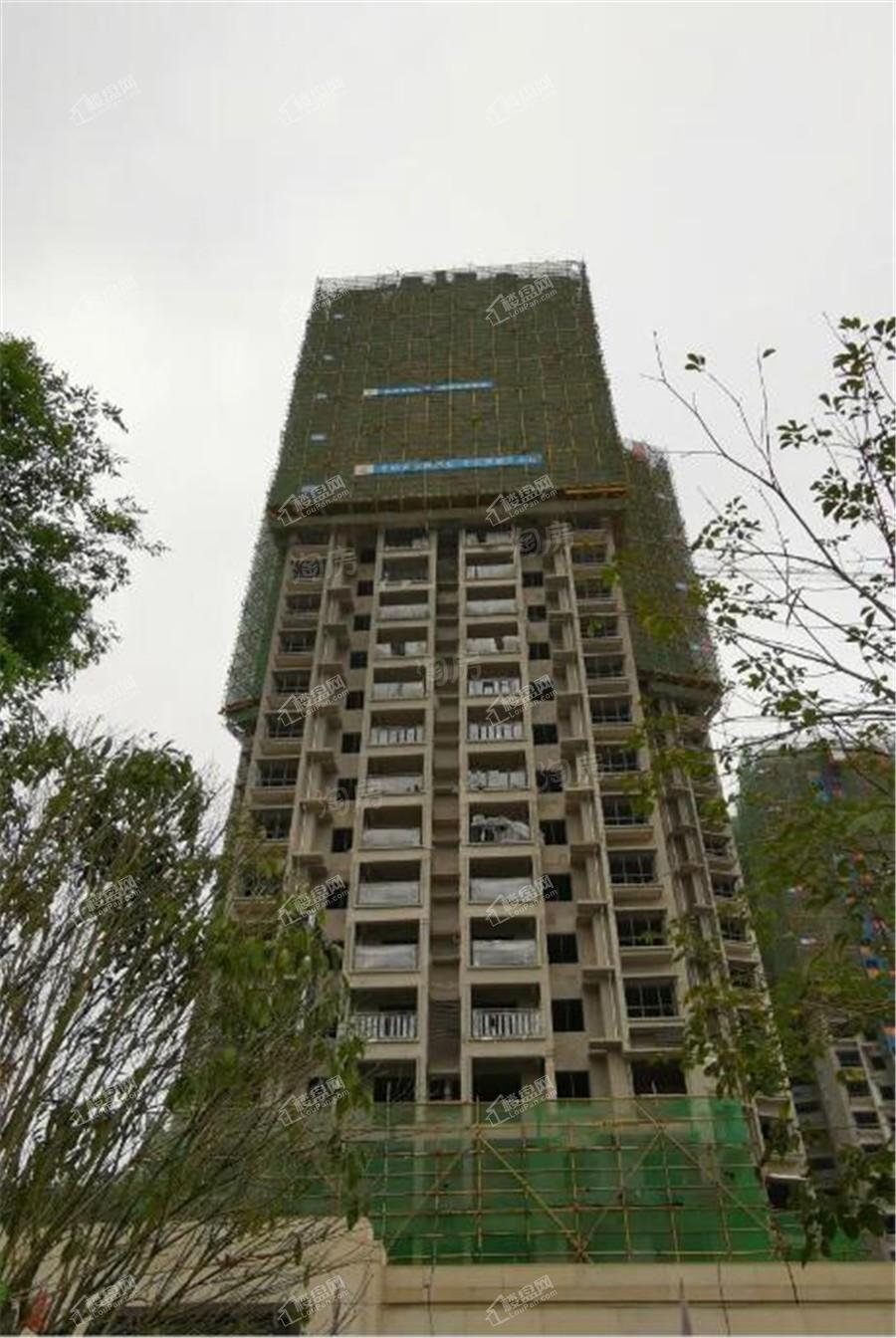 新城·悦隽风华实景图