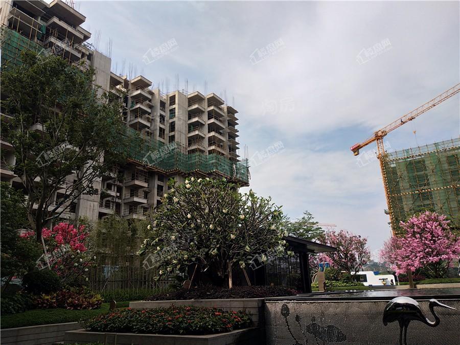 彰泰滨江学府实景图