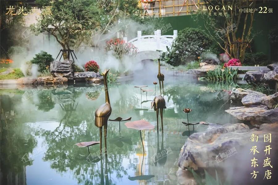 龙光天瀛实景图