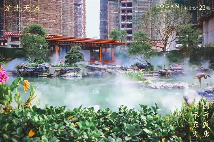 龙光天瀛实景图