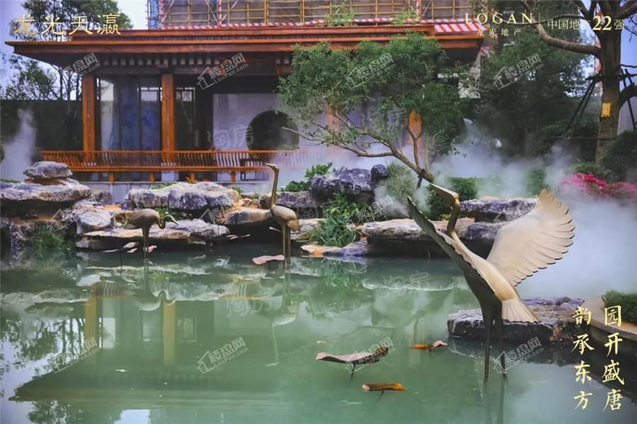 龙光天瀛实景图