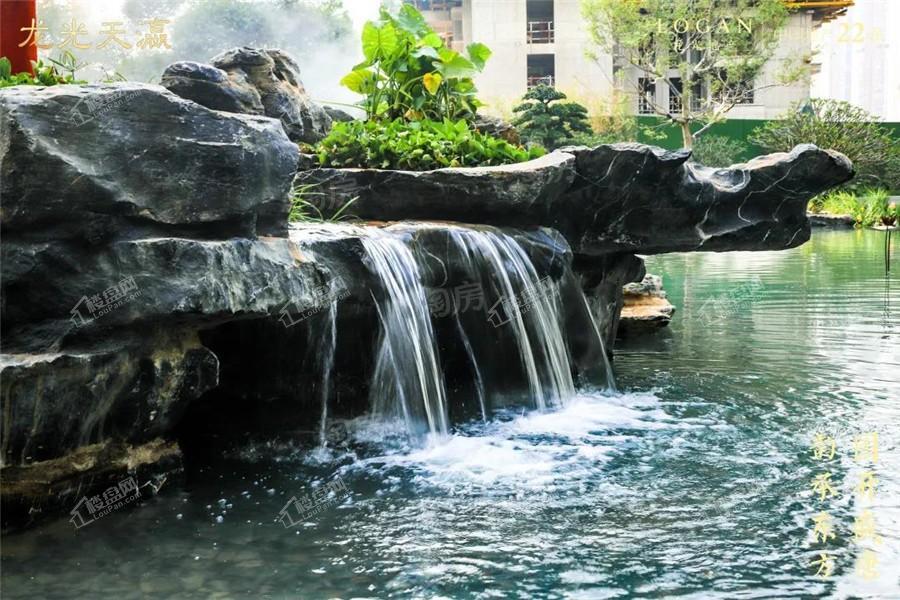 龙光天瀛实景图