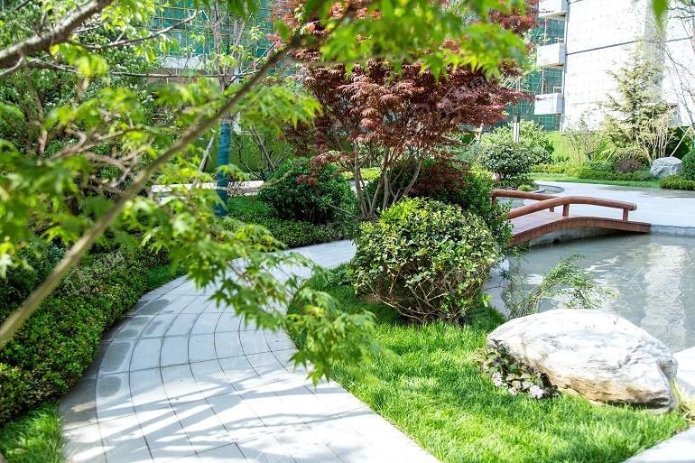 海信彩虹谷实景图