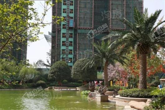 恒大绿洲实景图