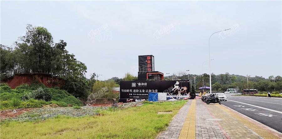 东鼎雍和府实景图