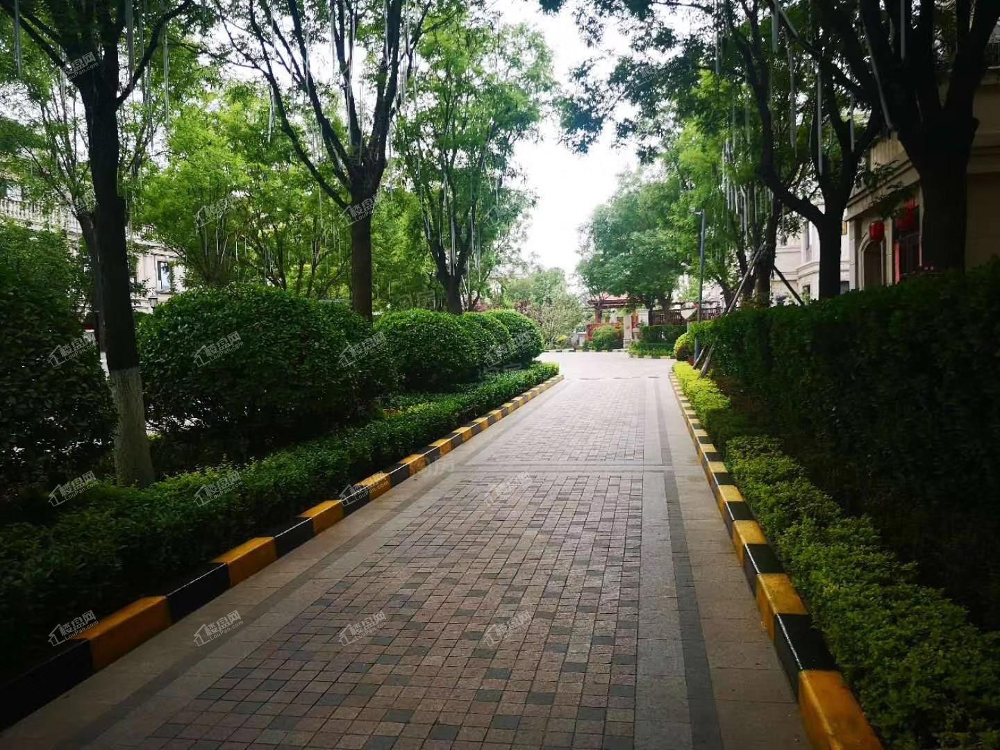 阳光城·翡丽湾实景图
