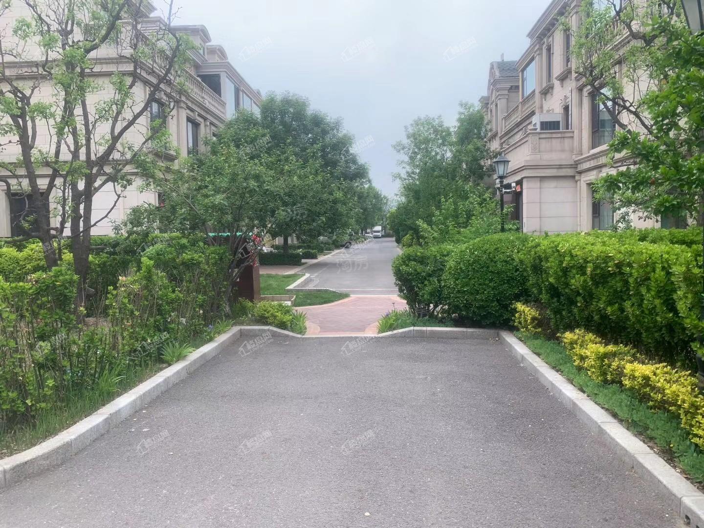 阳光城·翡丽湾实景图