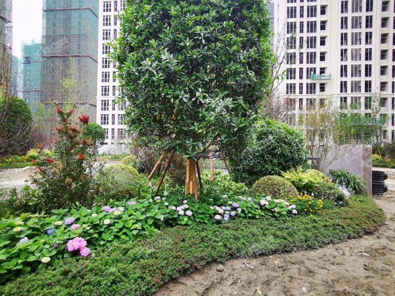 洲际健康城实景图