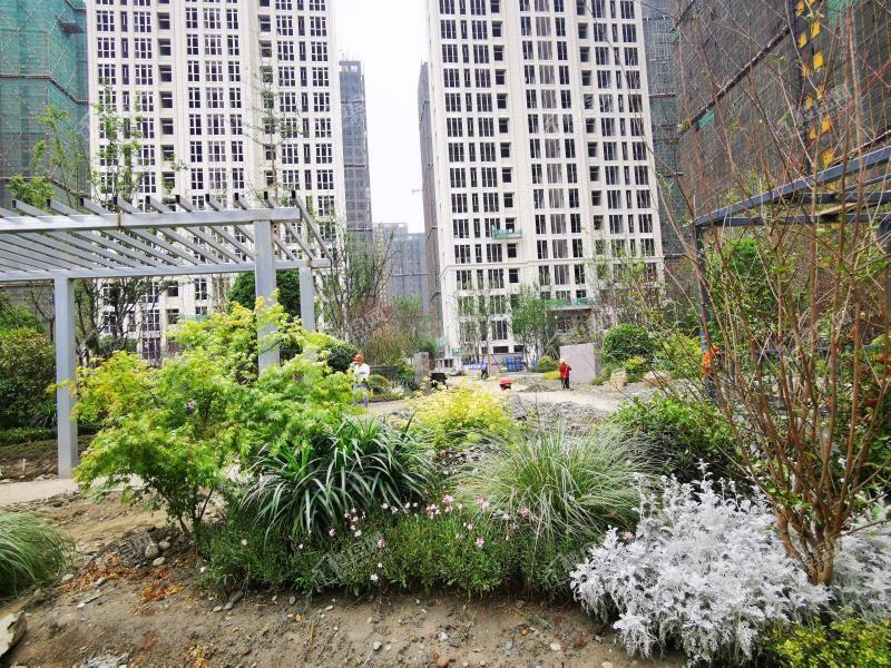 洲际健康城实景图