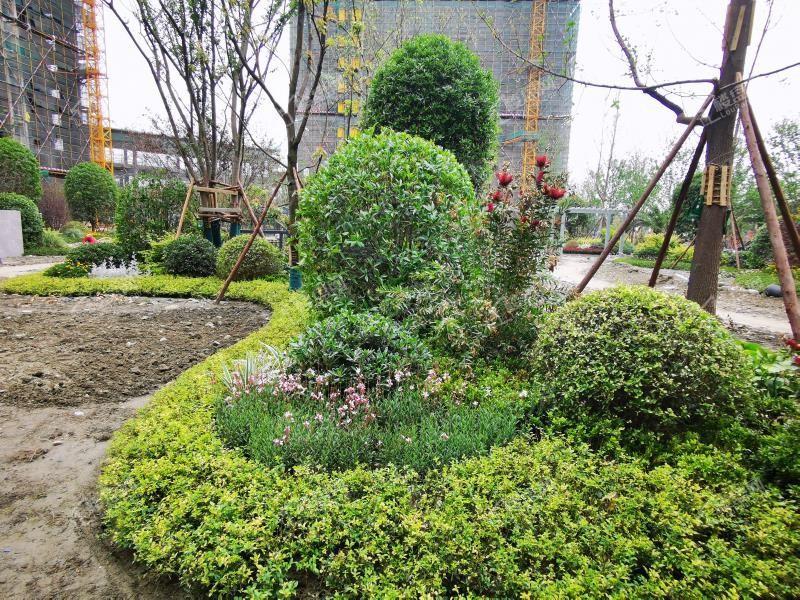 洲际健康城实景图