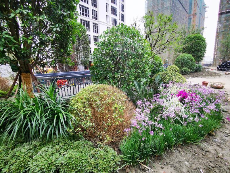 洲际健康城实景图