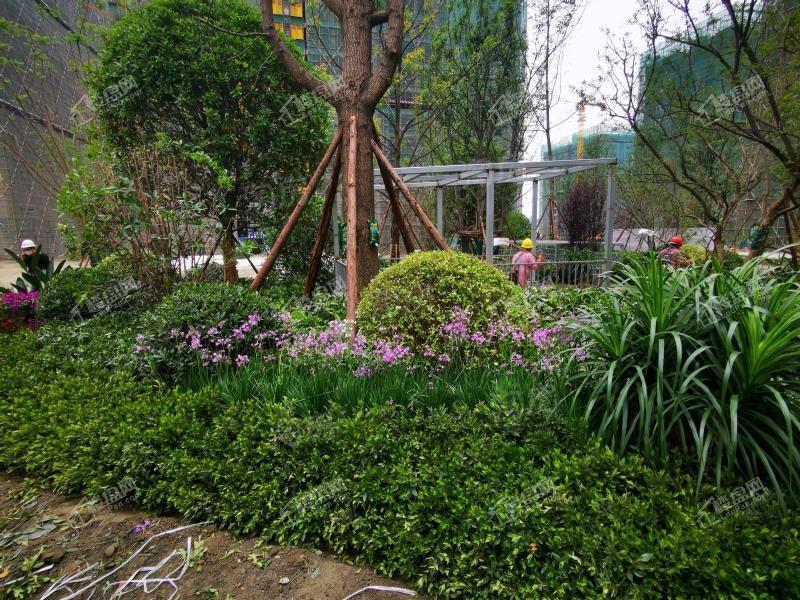 洲际健康城实景图