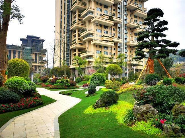 亨特碧桂园云涧溪山实景图