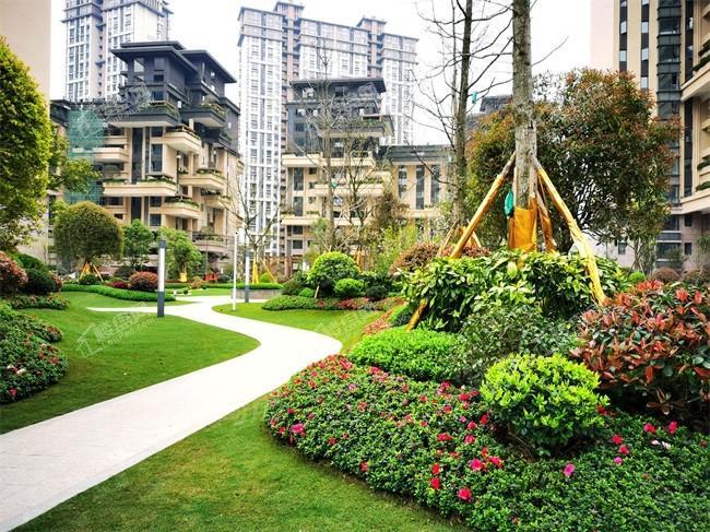 亨特碧桂园云涧溪山实景图