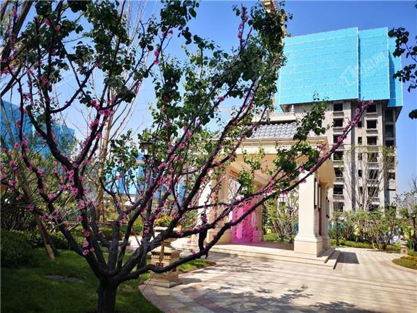 恒大金碧天下实景图