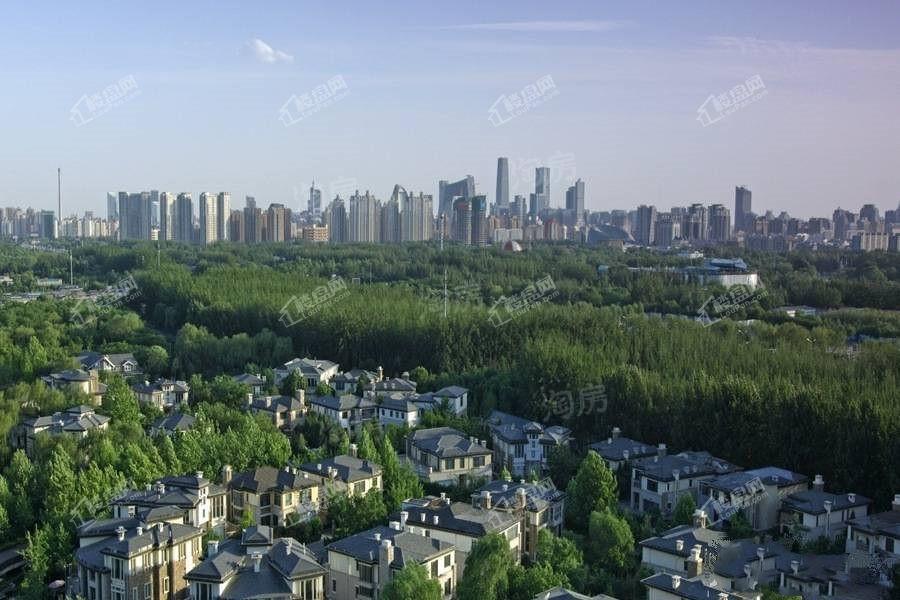 东山condo效果图