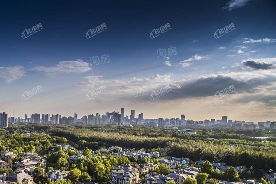 东山condo效果图