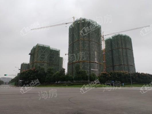 城投置地梧桐馨园实景图