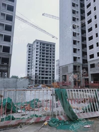 城投置地梧桐馨园实景图