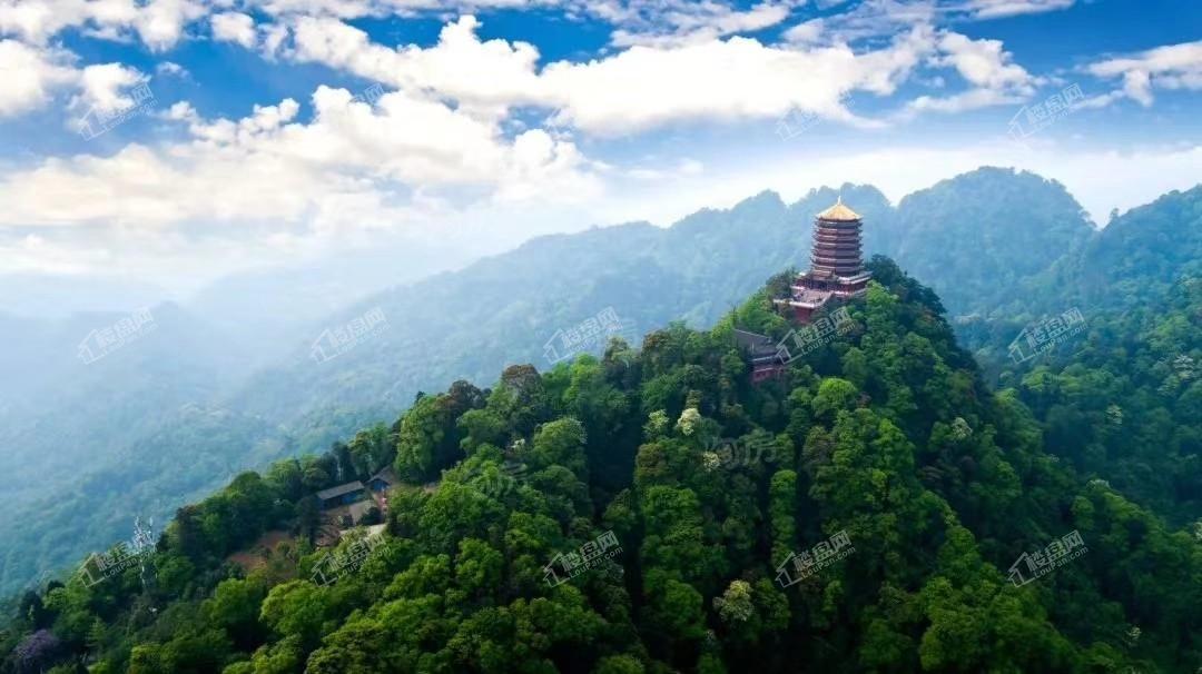 青城365南院实景图