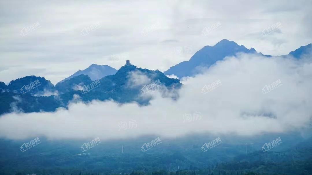 青城365南院实景图