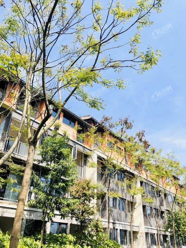 青城365南院实景图