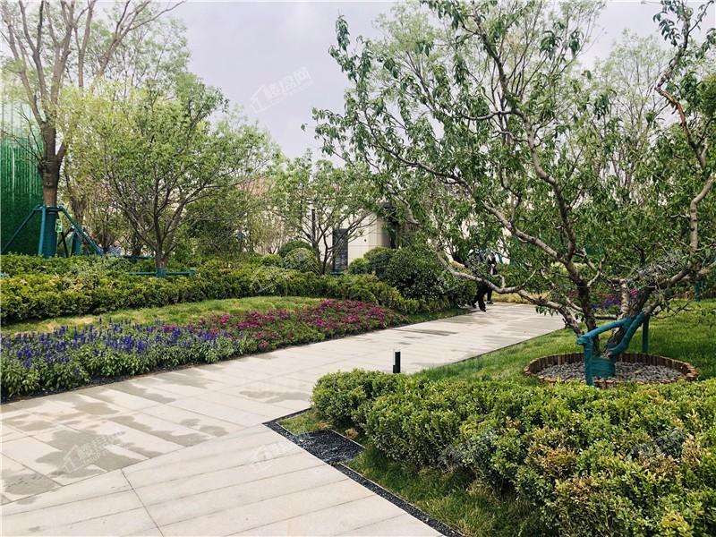 保利和光尘樾实景图
