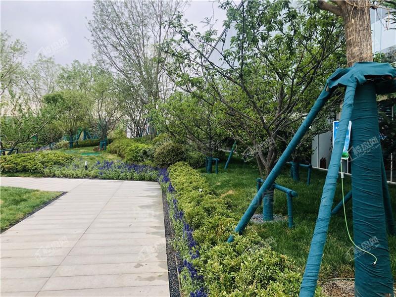 保利和光尘樾实景图