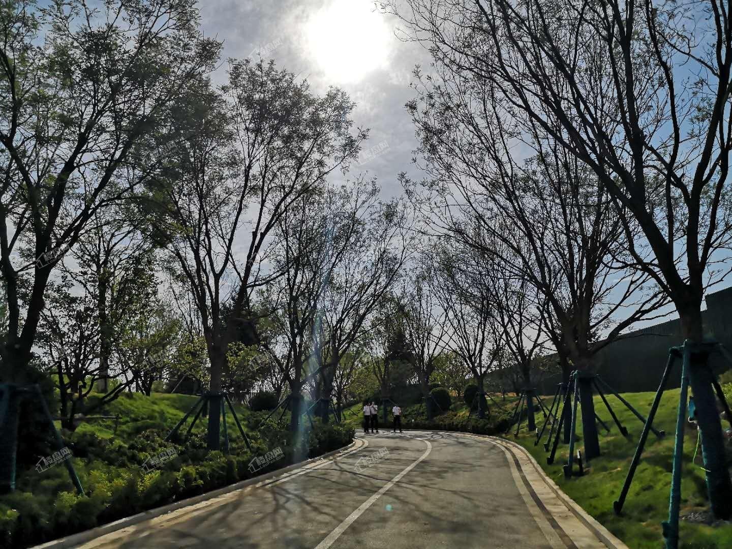 保利和光尘樾实景图